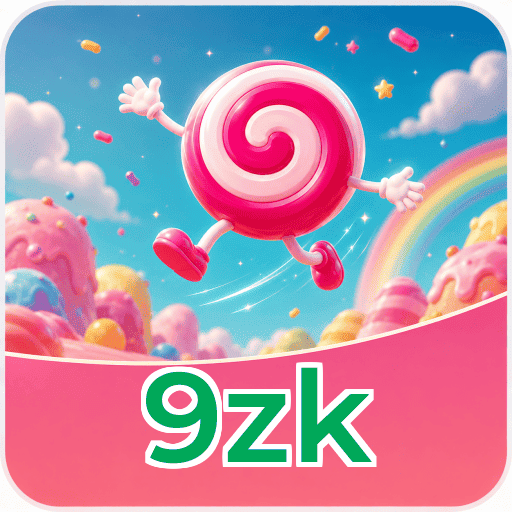 9zk Security Analysis